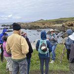 Plant Walk on Sonoma coast